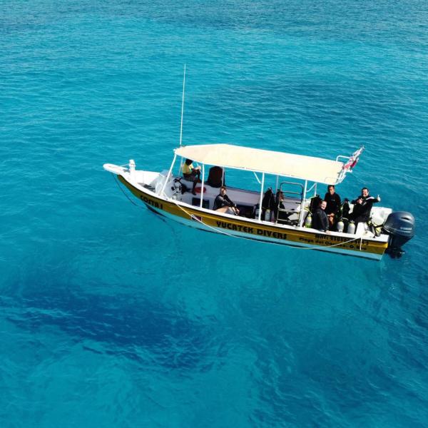 Open Water Diver