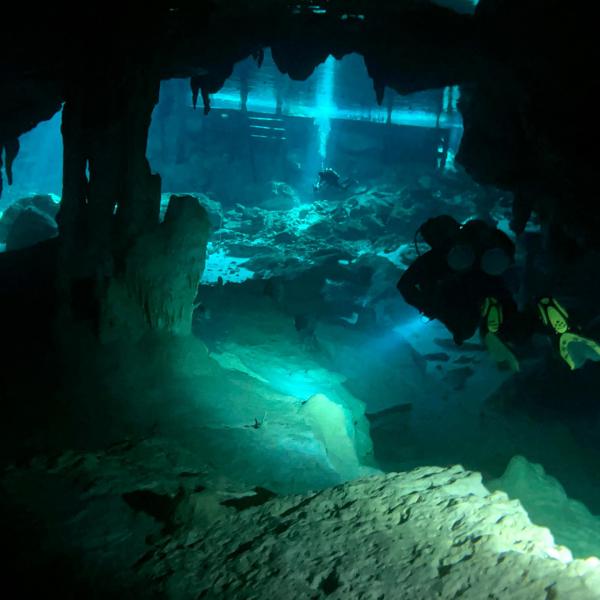 Open Water Diver