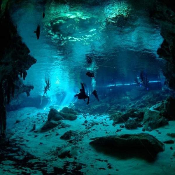Open Water (Refferal)