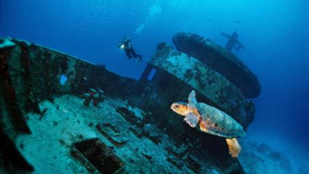 MAMA VIÑA WRECK