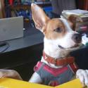 . Pancho